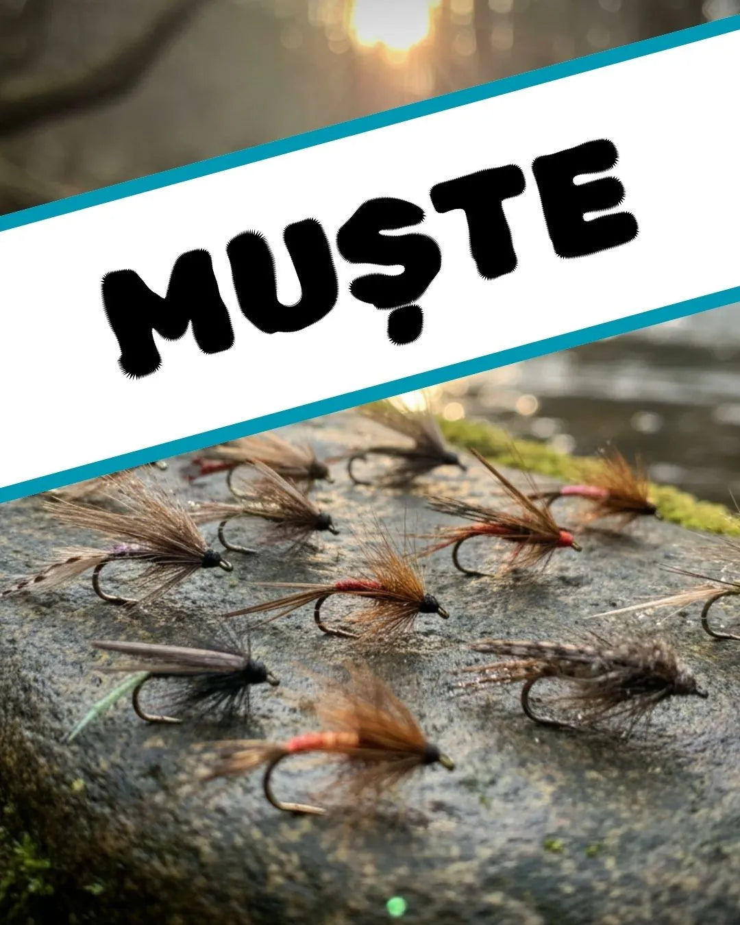 Muste