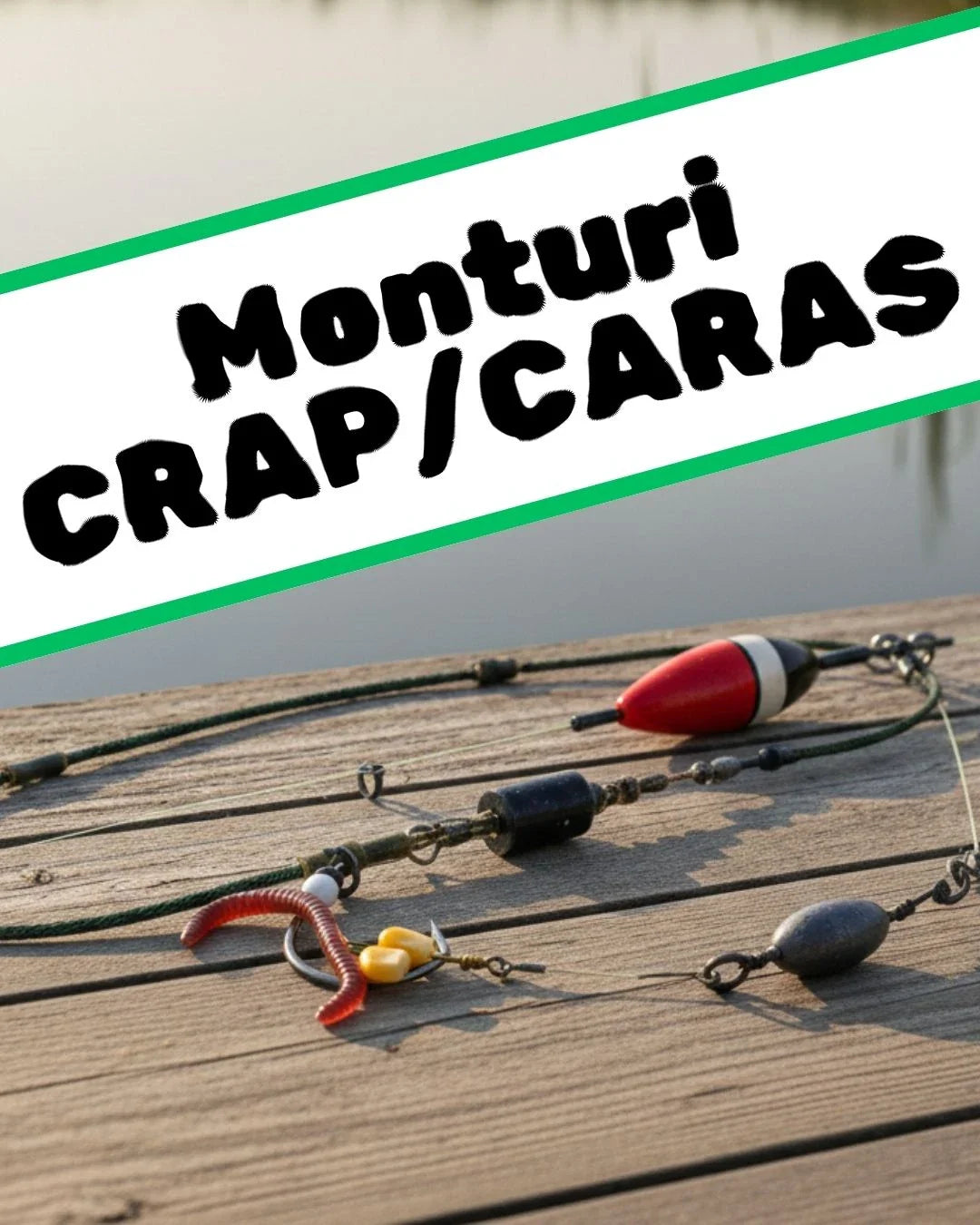 Monturi crap/caras