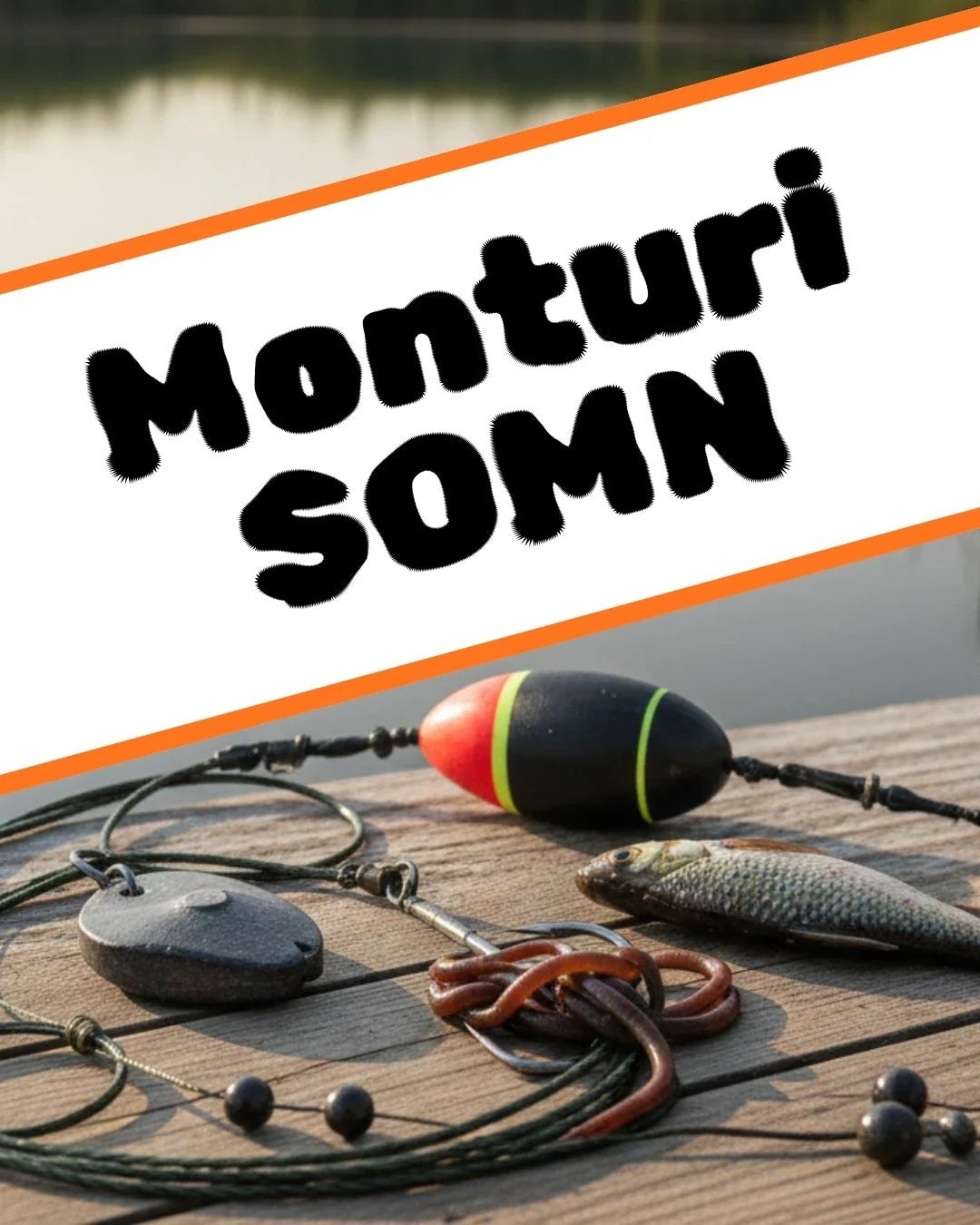 Monturi somn