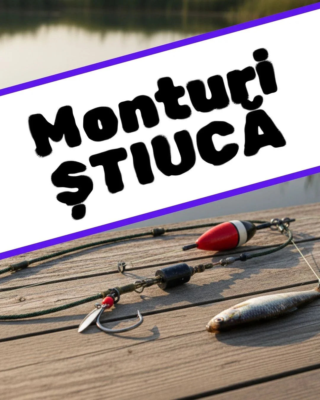 Monturi stiuca