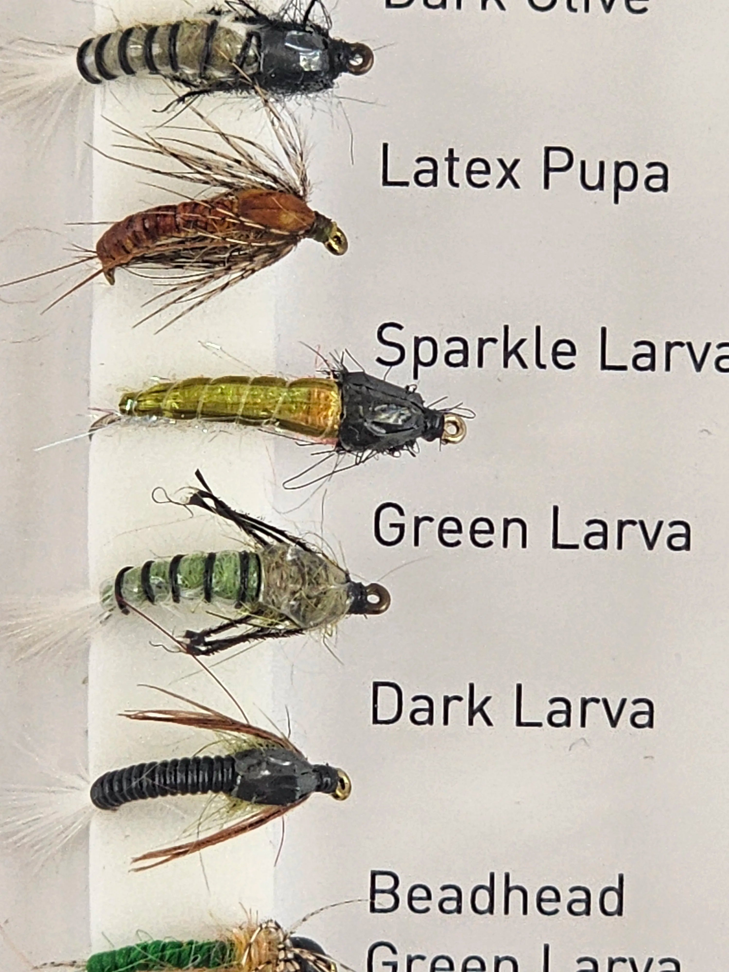 Set muste DAIWA caddis nymphs