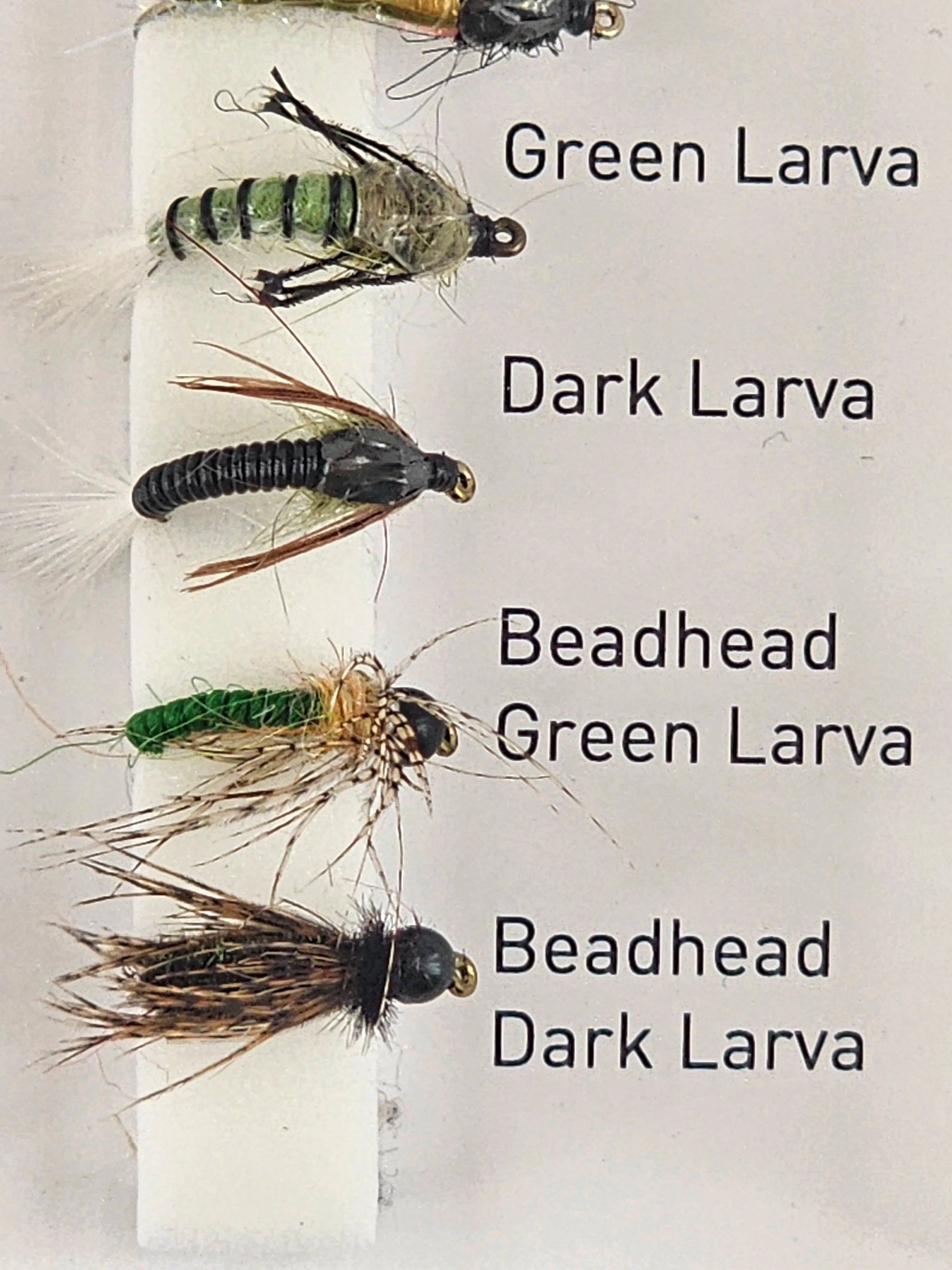 Set muste DAIWA caddis nymphs