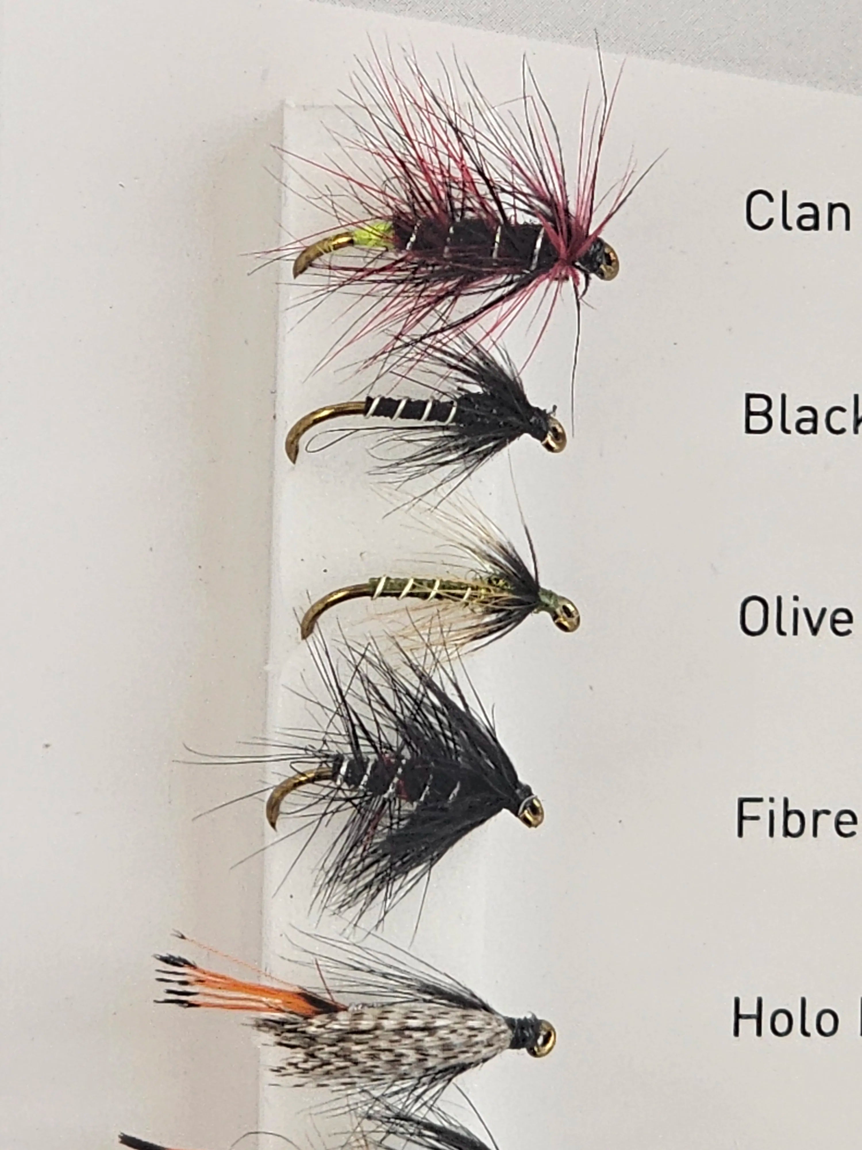 Set muste DAIWA modern traditional flies