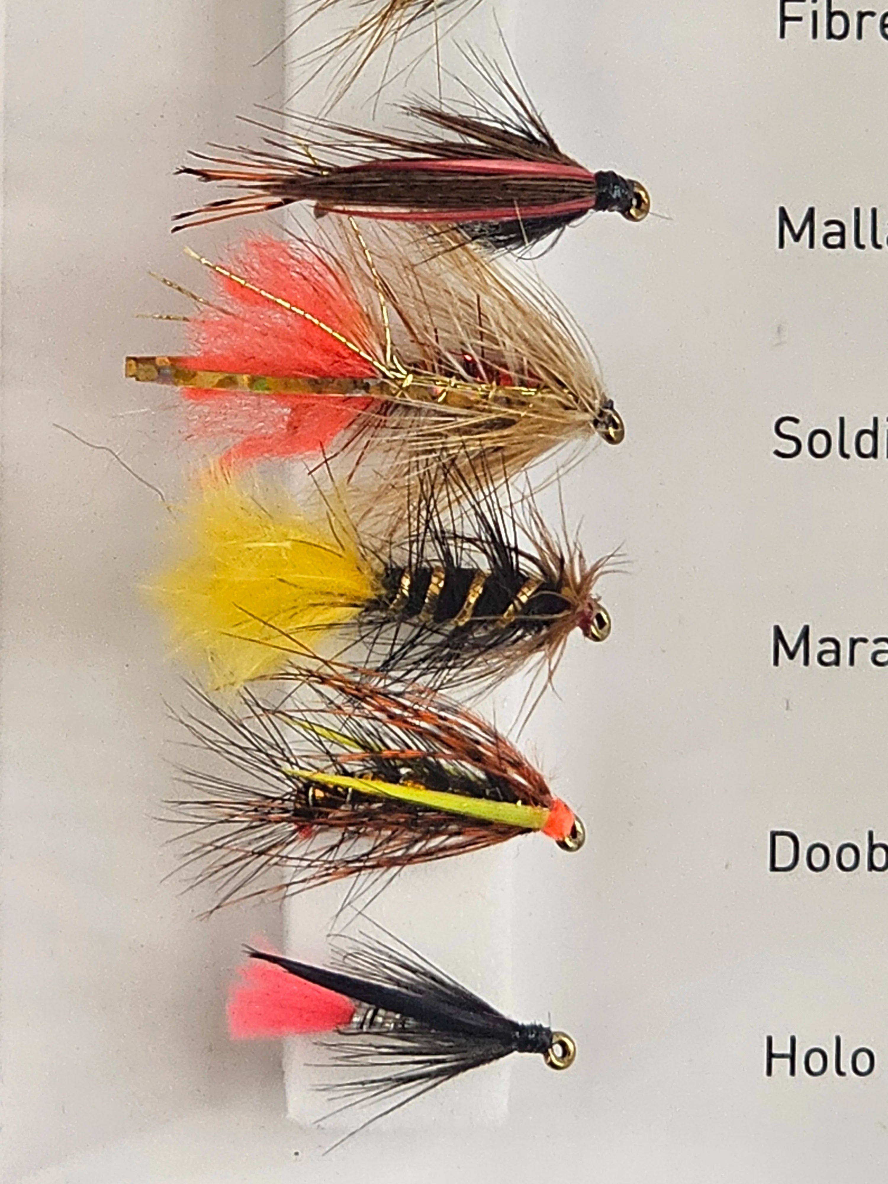 Set muste DAIWA modern traditional flies