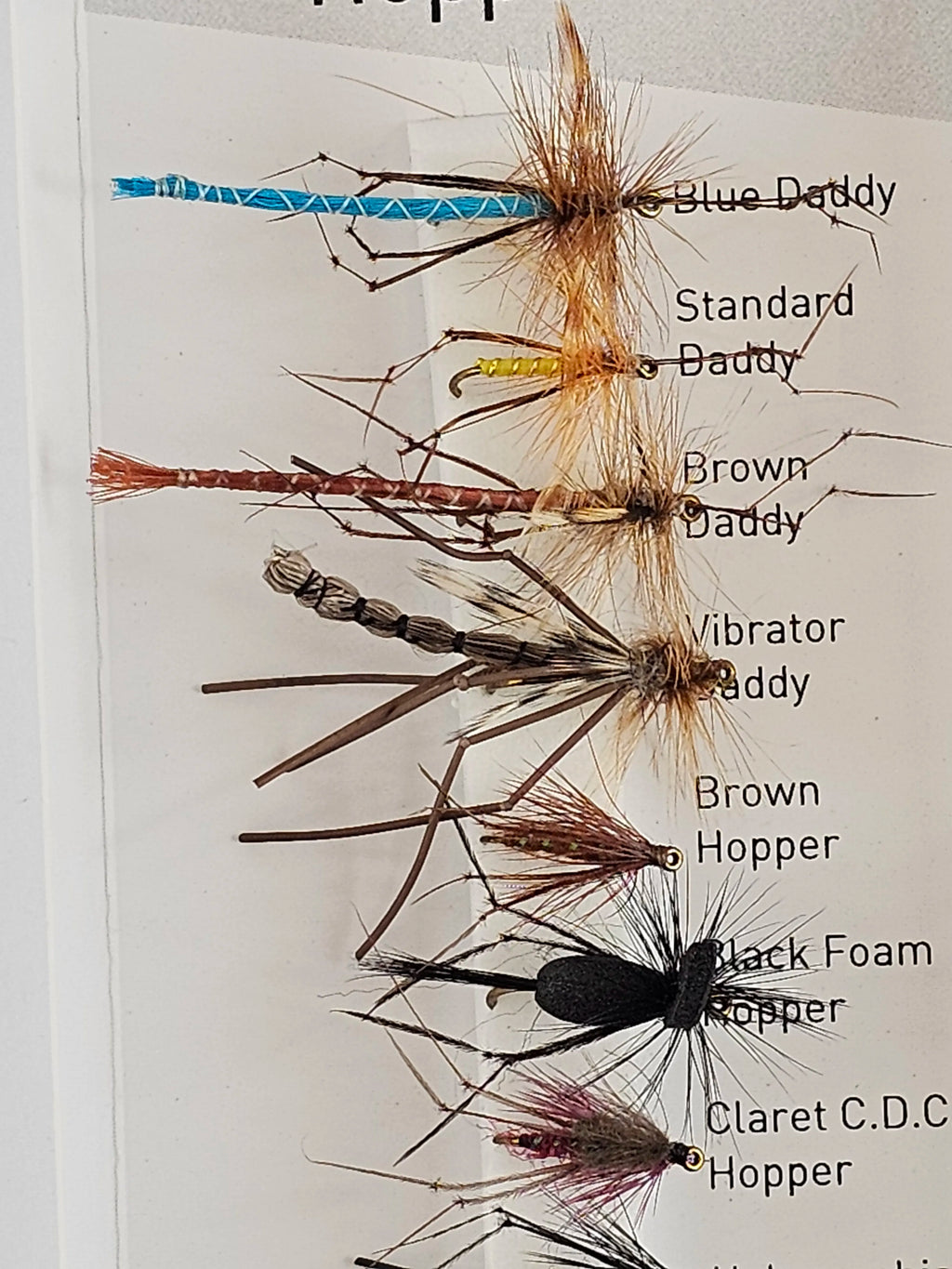 Set muste DAIWA daddies & hoppers