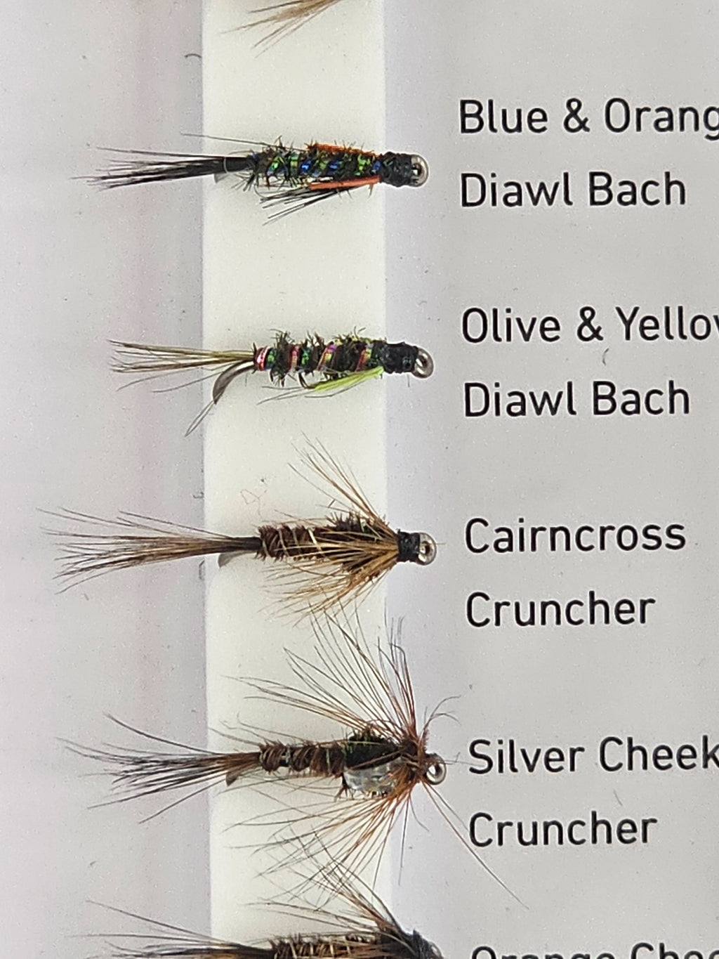 Set muste DAIWA diawl bachs & crunchers