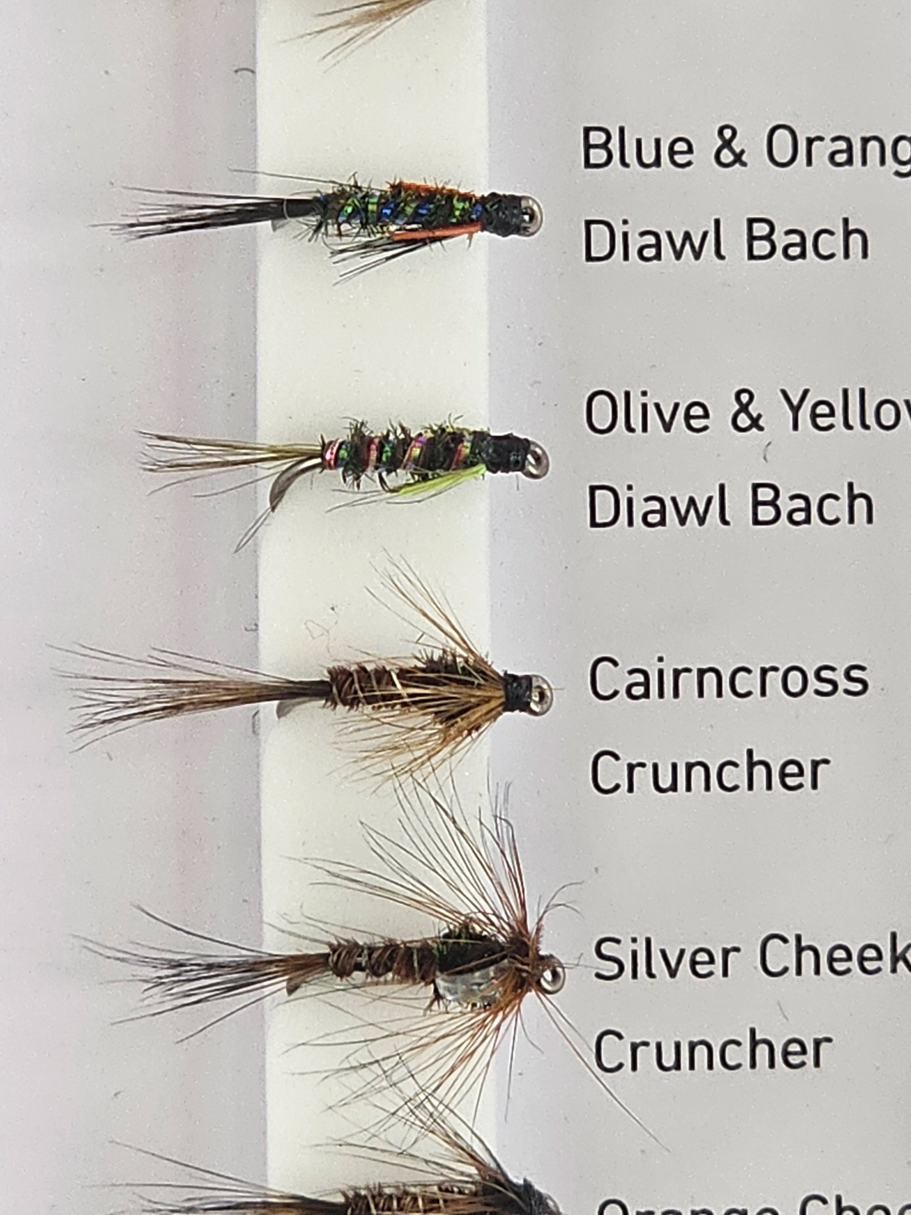 Set muste DAIWA diawl bachs & crunchers