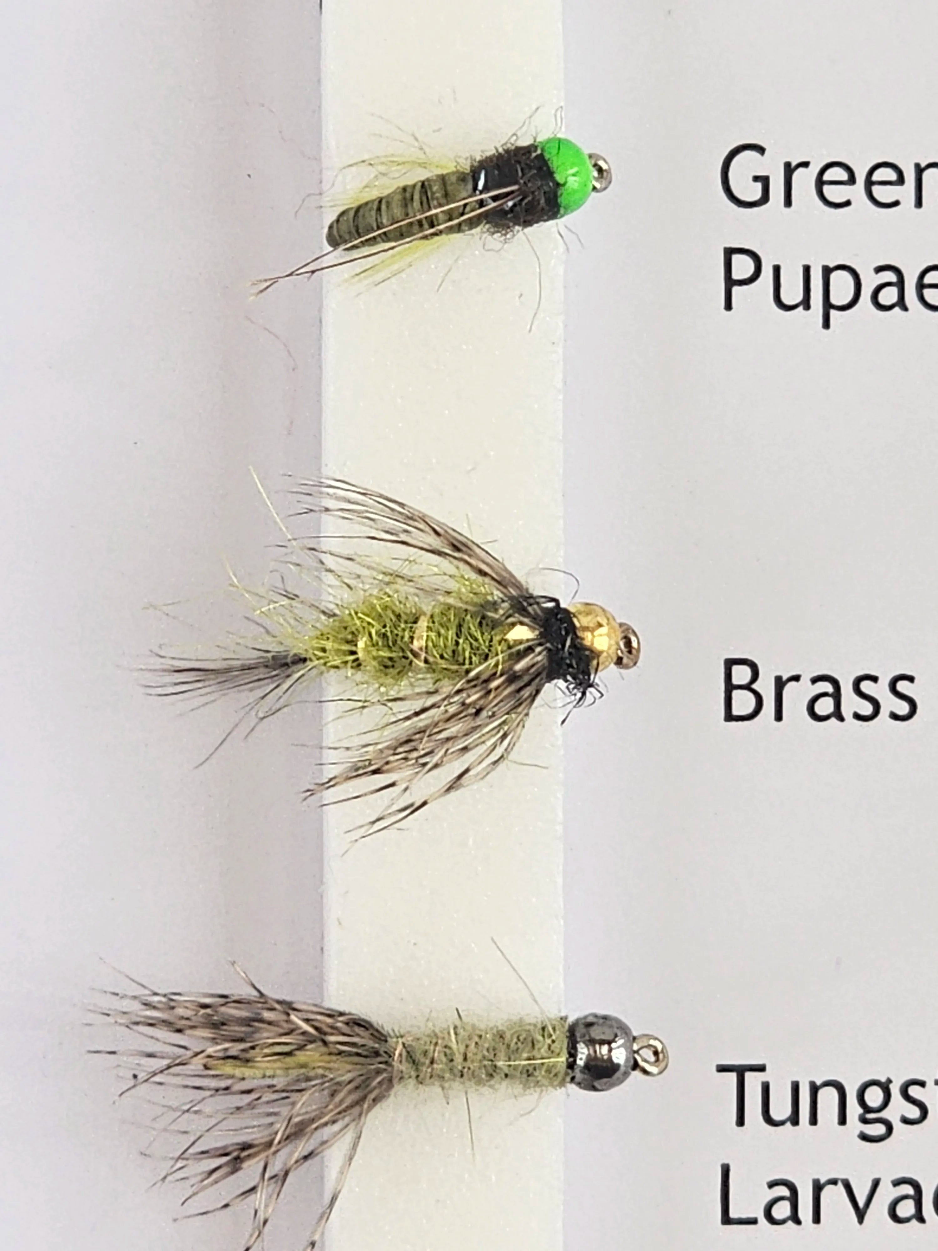 Set muste DAIWA beadhead nymphs